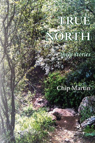 Cover for Chip Martin · True North: Three Stories (Paperback Book) (2013)