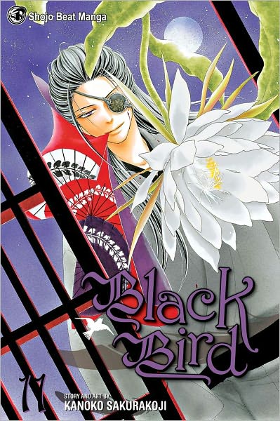 Cover for Kanoko Sakurakouji · Black Bird, Vol. 11 - Black Bird (Paperback Book) (2011)