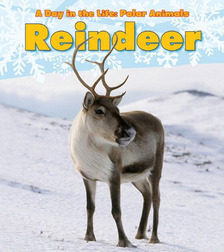 Cover for Katie Marsico · Reindeer (A Day in the Life: Polar Animals) (Paperback Book) (2011)