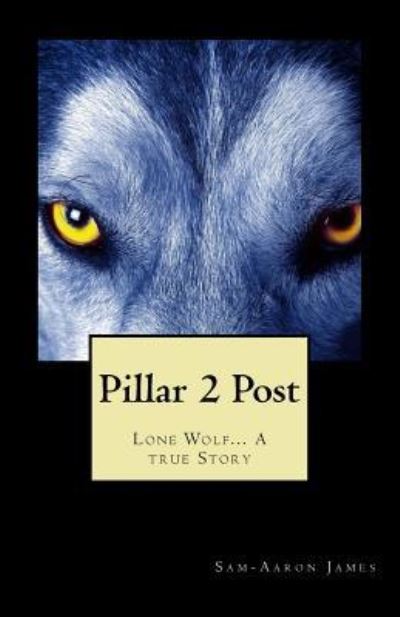 Cover for Sam-Aaron James · Pillar 2 Post (Paperback Book) (2016)