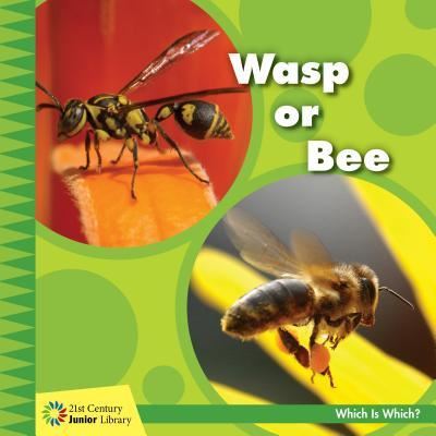 Cover for Tamra Orr · Wasp or Bee (Hardcover Book) (2019)