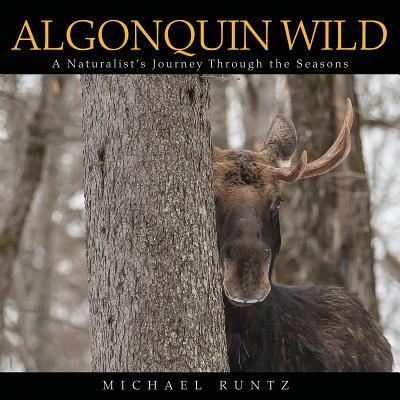 Cover for Michael Runtz · Algonquin Wild (Paperback Book) (2019)