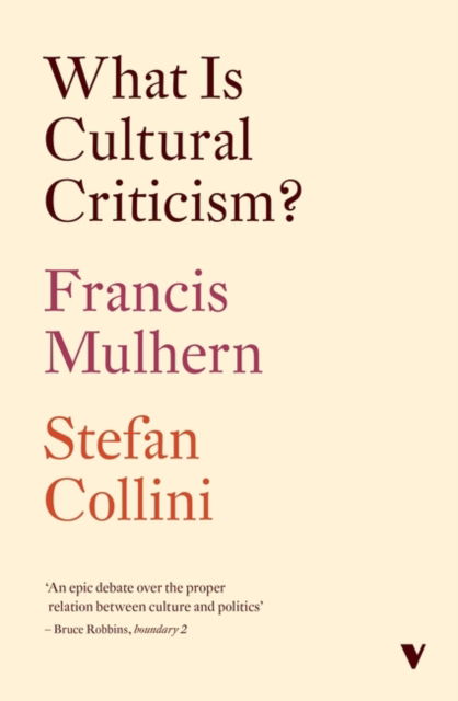 Cover for Francis Mulhern · What Is Cultural Criticism? (Paperback Book) (2024)