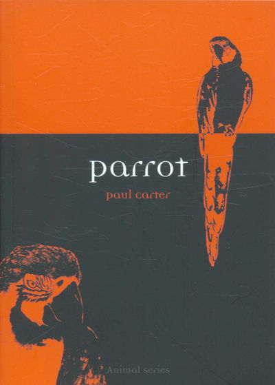 Cover for Paul Carter · Parrot - Animal Series (Paperback Book) (2005)