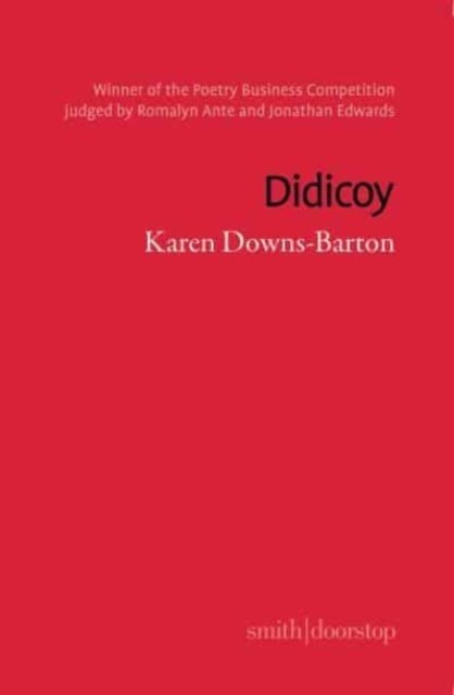 Didicoy - Karen Downs-Barton - Kirjat - Smith|Doorstop Books - 9781914914379 - keskiviikko 1. maaliskuuta 2023