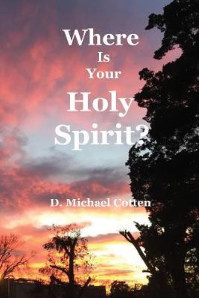 Cover for Michael Cotten · Where Is Your Holy Spirit? (Paperback Book) (2018)