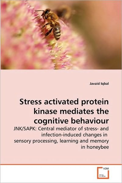 Cover for Javaid Iqbal · Stress Activated Protein Kinase Mediates the Cognitive Behaviour: Jnk / Sapk: Central Mediator of Stress- and Infection-induced Changes in  Sensory Processing, Learning and Memory in Honeybee (Paperback Bog) (2010)