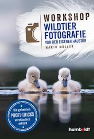 Cover for Mario Müller · Workshop Wildtierfotografie vor der eigenen Haustür (Taschenbuch) (2021)