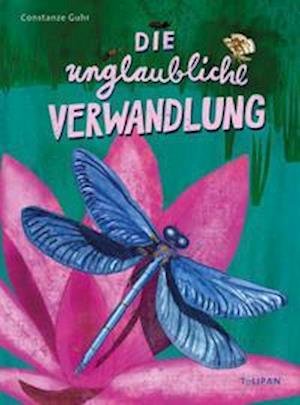 Cover for Constanze Guhr · Die unglaubliche Verwandlung (Gebundenes Buch) (2022)