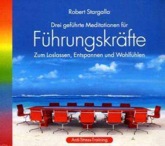 Führungskräfte - Robert Stargalla - Music - AVITALL - 9783893215379 - August 23, 2010