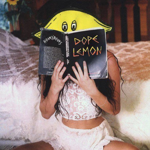 Cover for Dope Lemon · Honey Bones (LP) (2021)
