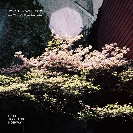 No City. No Trees. No Lake - Johan Lindvall Trio - Música - JAZZLAND - 0687437792380 - 4 de outubro de 2019