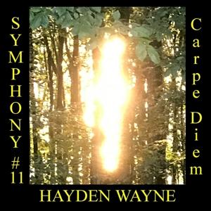 Cover for Hayden Wayne · Symphony #11: Carpe Diem (CD) (2024)