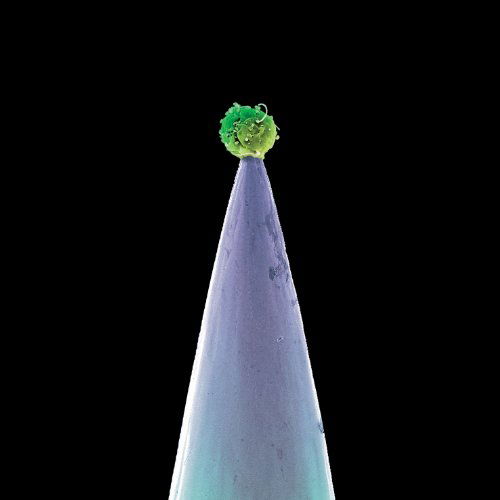 New Blood - Peter Gabriel - Musik - EMM/PETER GABRIEL - 0884108000380 - 11. Oktober 2011