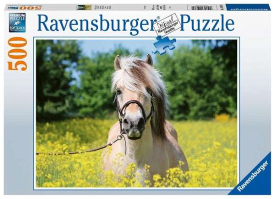 Puzzel Paard tussen de bloemen: 500 stukjes (150380) - Ravensburger - Merchandise - Ravensburger - 4005556150380 - January 26, 2021