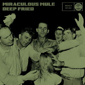 Deep Fried - Miraculous Mule - Music - Bronzerat/Muletone - 5051083072380 - July 10, 2013