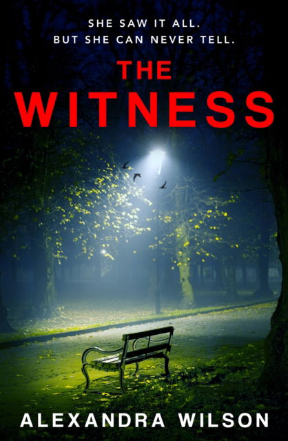 Cover for Alexandra Wilson · The Witness: The most authentic, twisty legal thriller, from the barrister author of In Black and White (Paperback Book) (2025)