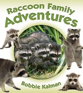 Cover for Bobbie Kalman · Raccoon Family Adventures (Paperback Book) (2016)