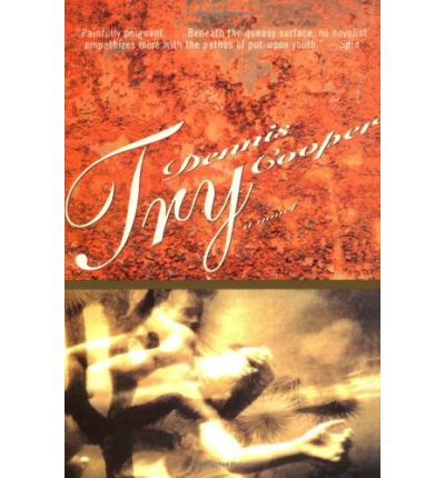 Try - Dennis. Cooper - Livros - Avalon Travel Publishing - 9780802133380 - 9 de março de 1995