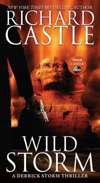 Cover for Richard Castle · Wild Storm: A Derrick Storm Thriller - A Derrick Storm Thriller (Paperback Book) (2015)
