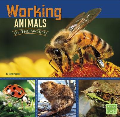 Cover for Tammy Gagne · Working Animals of the World (All About Animals) (Paperback Book) (2015)