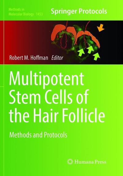 Cover for Multipotent Stem Cells of the Hair Follicle: Methods and Protocols - Methods in Molecular Biology (Paperback Book) [Softcover reprint of the original 1st ed. 2016 edition] (2018)