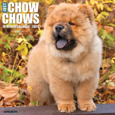 Willow Creek Press · Just Chow Chows 2025 12 X 12 Wall Calendar (Calendar) (2024)