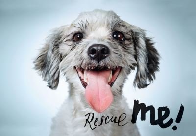 Cover for Richard Phibbs · Rescue Me!: Dog Adoption Portraits and Stories from New York City (Hardcover Book) (2016)