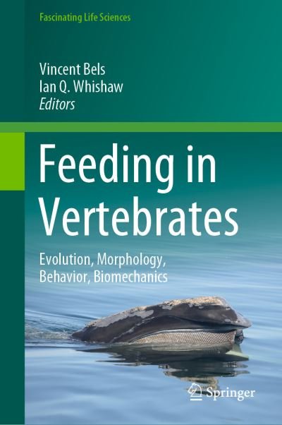 Cover for Bels  Vincent · Feeding in Vertebrates: Evolution, Morphology, Behavior, Biomechanics - Fascinating Life Sciences (Hardcover bog) [1st ed. 2019 edition] (2019)