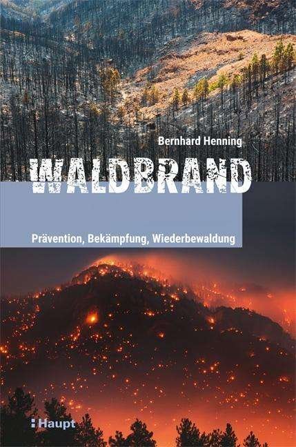 Cover for Henning · Waldbrand (Buch)