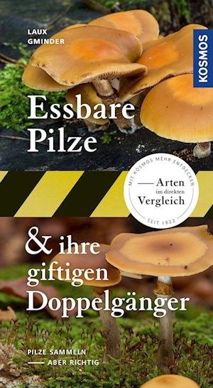 Cover for Hans E. Laux · Essbare Pilze und ihre giftigen Doppelgänger (Book) (2022)