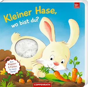 Cover for Sabine Kraushaar · Mein erstes Guckloch-Fühlbuch: Kleiner Hase, wo bist du? (Book) (2024)