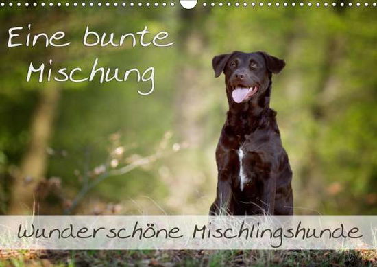 Cover for Noack · Eine bunte Mischung - wunderschön (Book)