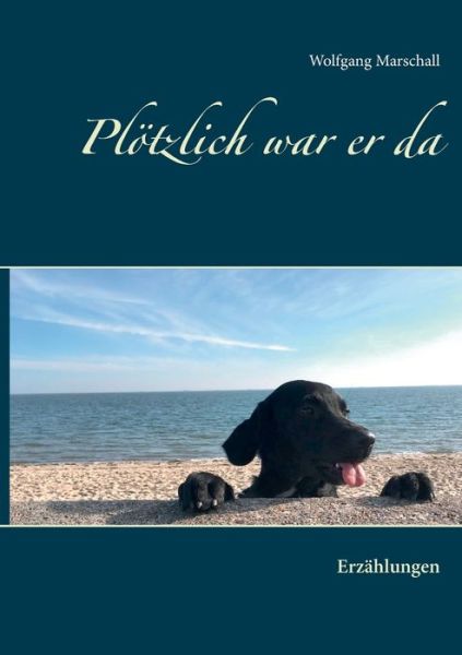 Cover for Wolfgang Marschall · Ploetzlich war er da: Erzahlungen (Paperback Book) (2018)