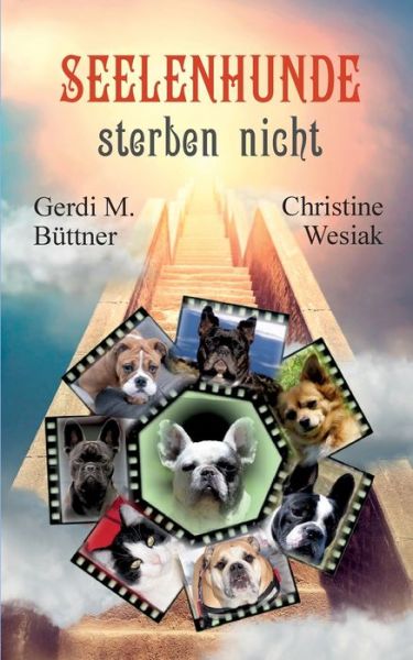 Cover for Gerdi M Buttner · Seelenhunde sterben nicht (Paperback Book) (2021)