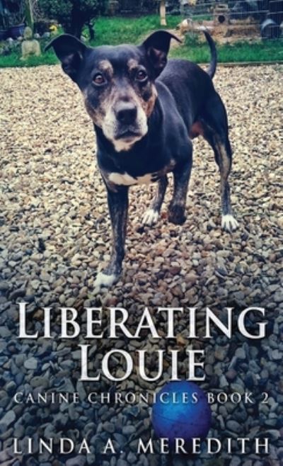 Cover for Linda a Meredith · Liberating Louie (Hardcover Book) (2021)