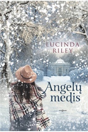 Cover for Lucinda Riley · Angel? medis (Bound Book) (2020)