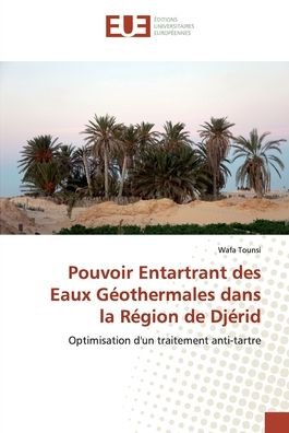 Cover for Tounsi · Pouvoir Entartrant des Eaux Géot (Bok) (2019)