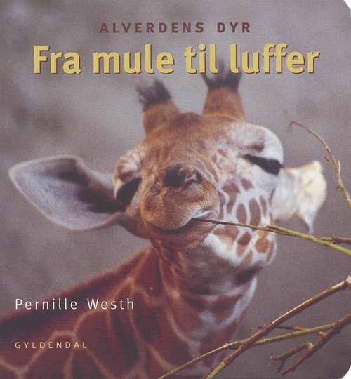Cover for Pernille Westh · Fra mule til luffer (Papbog) [1. udgave] (2004)