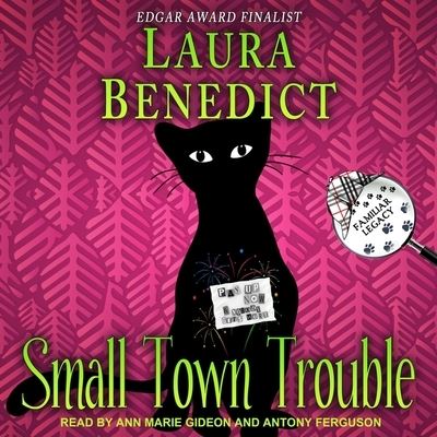 Cover for Laura Benedict · Small Town Trouble (CD) (2019)