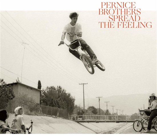 Cover for Pernice Brothers · Spread The Feeling (CD) (2019)