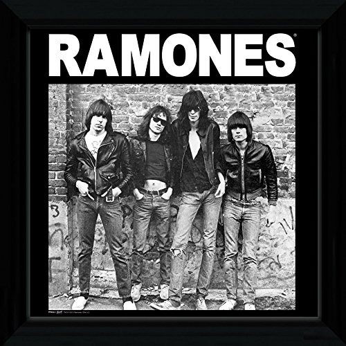 Cover for Ramones (The) · Ramones (The) - Album (Stampa In Cornice 30x30 Cm) (Brinquedos)