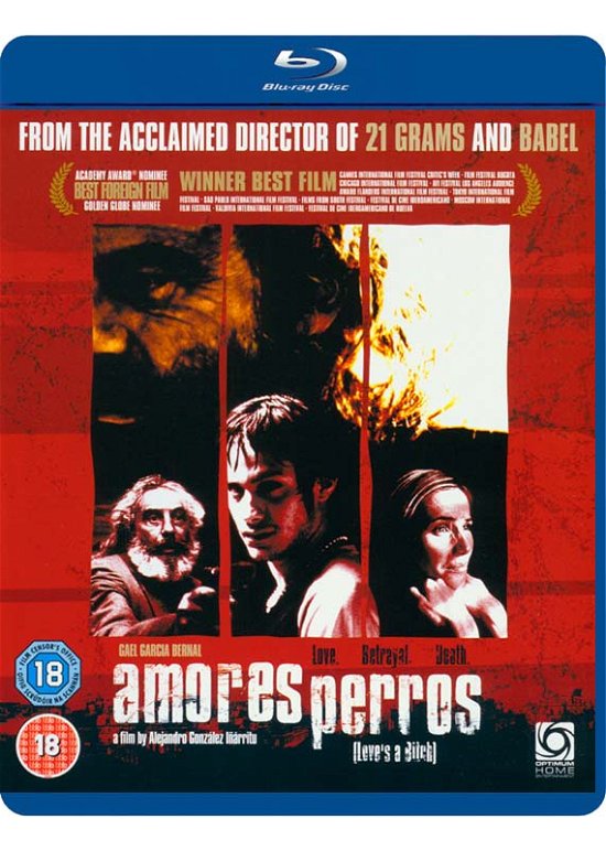 Cover for --- · Amores Perros (Blu-Ray) (2010)