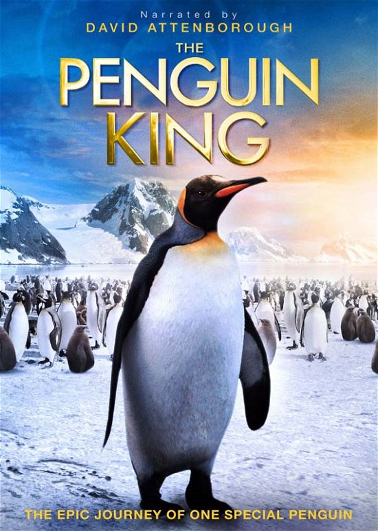 Cover for Penguin Kingthe (DVD)