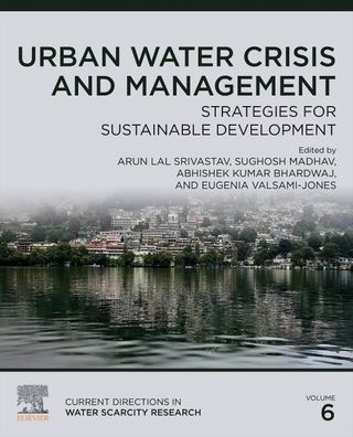 Cover for Arun Lal Srivastav · Urban Water Crisis and Management: Strategies for Sustainable Development - Current Directions in Water Scarcity Research (Paperback Book) (2022)