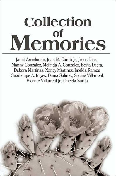Cover for South Texas · Collection of Memories (Paperback Book) (2000)