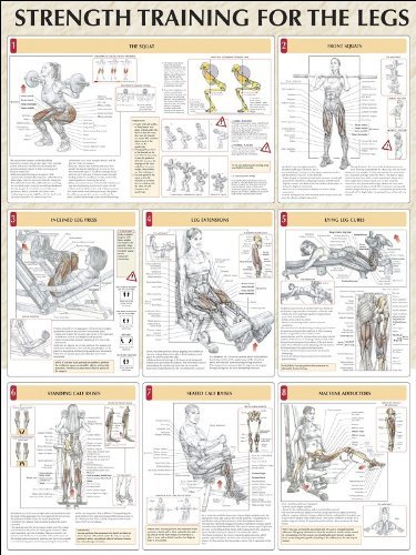 Cover for Frederic Delavier · Strength Training for the Legs (Poster) (2005)