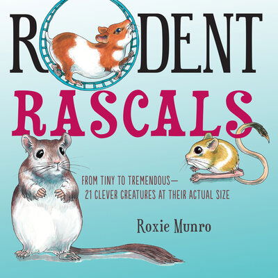 Cover for Roxie Munro · Rodent Rascals: Clever Creatures at their Actual Size (Taschenbuch) (2020)