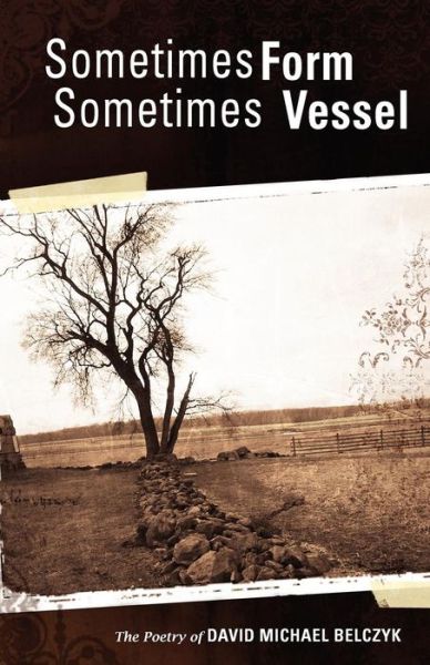 Cover for David Michael Belczyk · Sometimes Form Sometimes Vessel (Paperback Bog) (2010)