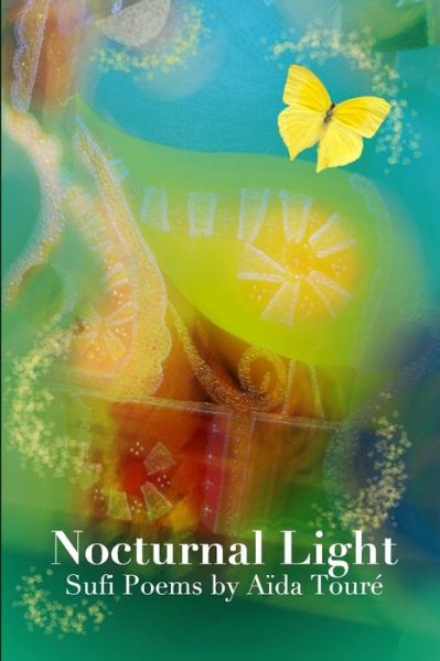 Cover for Aida Toure · Nocturnal Light (Paperback Book) (2012)